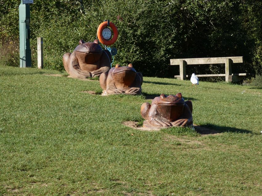 Click to see next picture