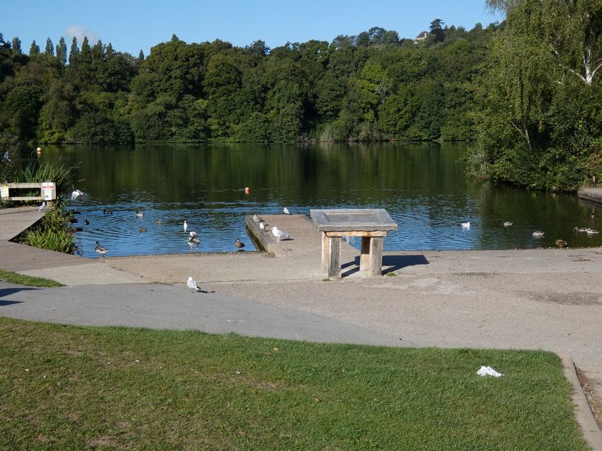 Click to see next picture