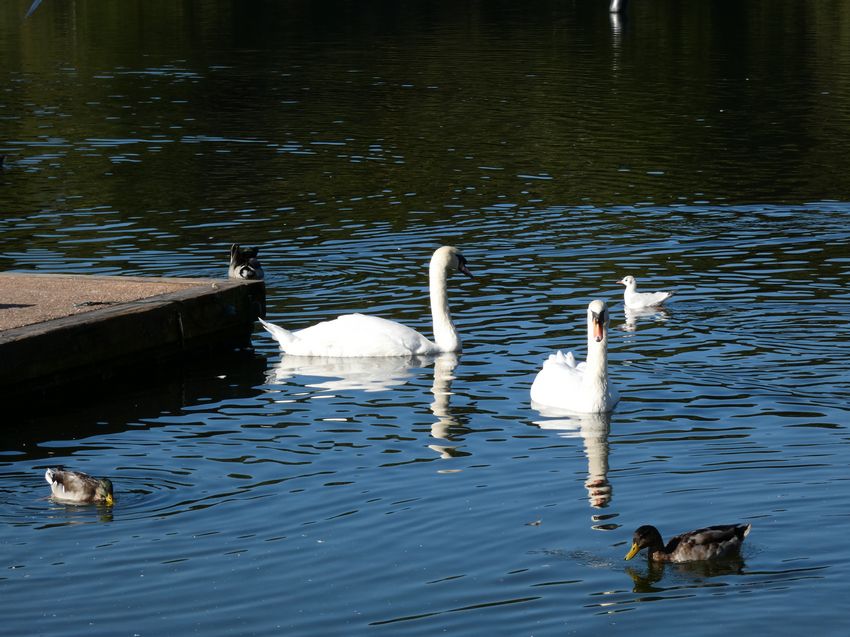 Click to see next picture