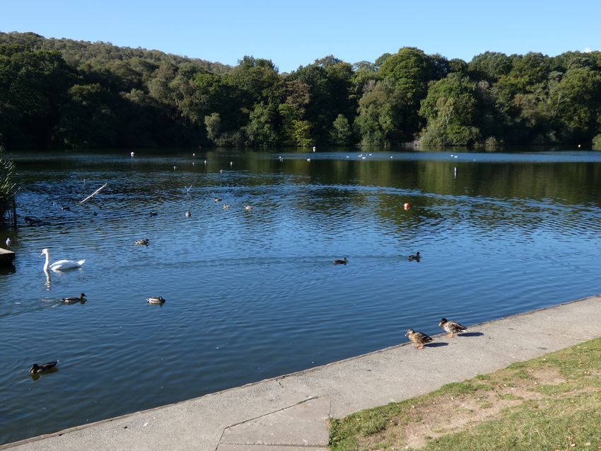 Click to see next picture