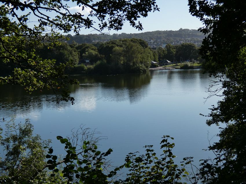 Click to see next picture