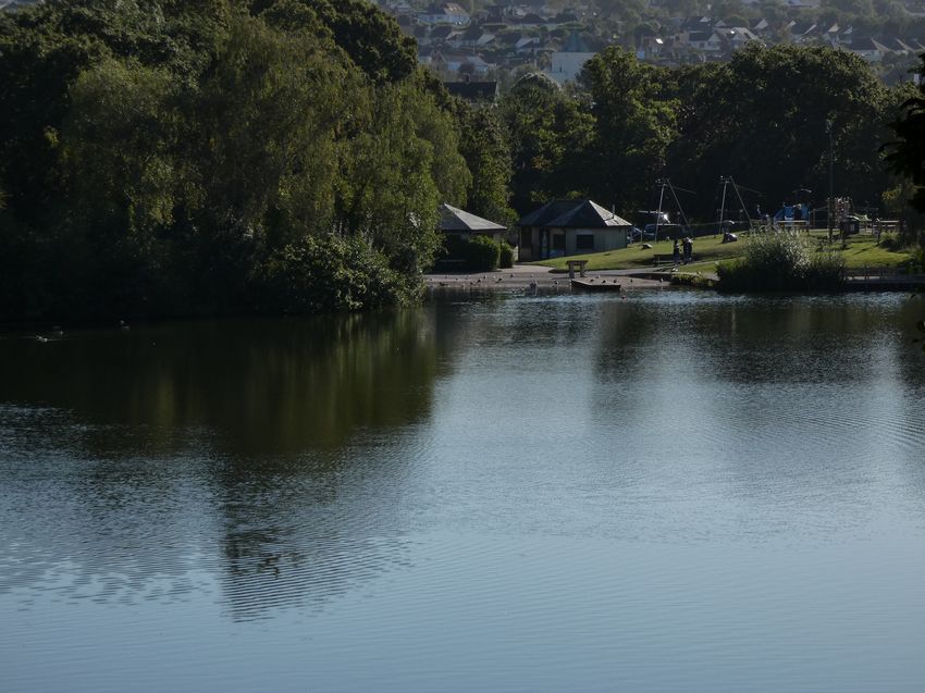 Click to see next picture