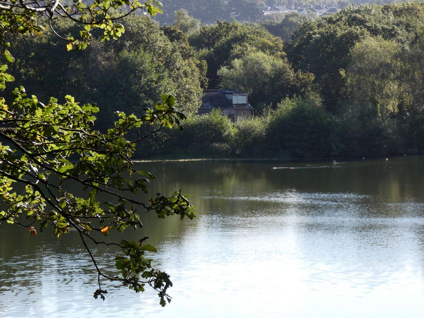 Click to see next picture