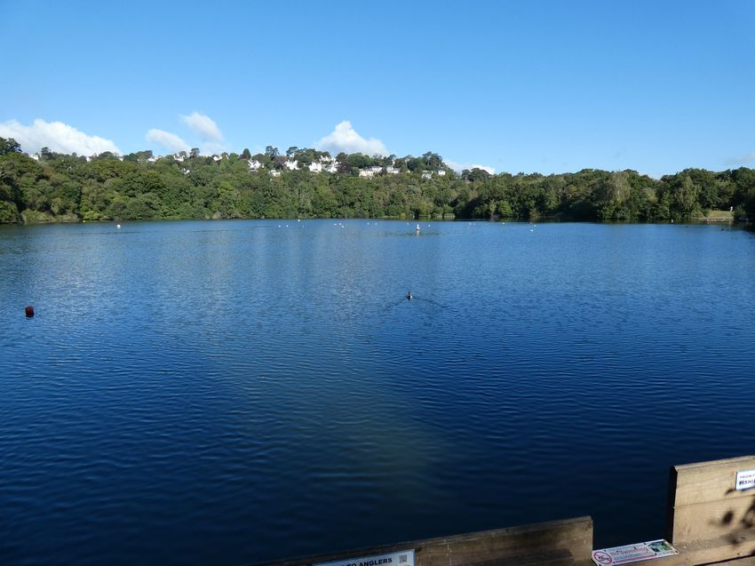 Click to see next picture