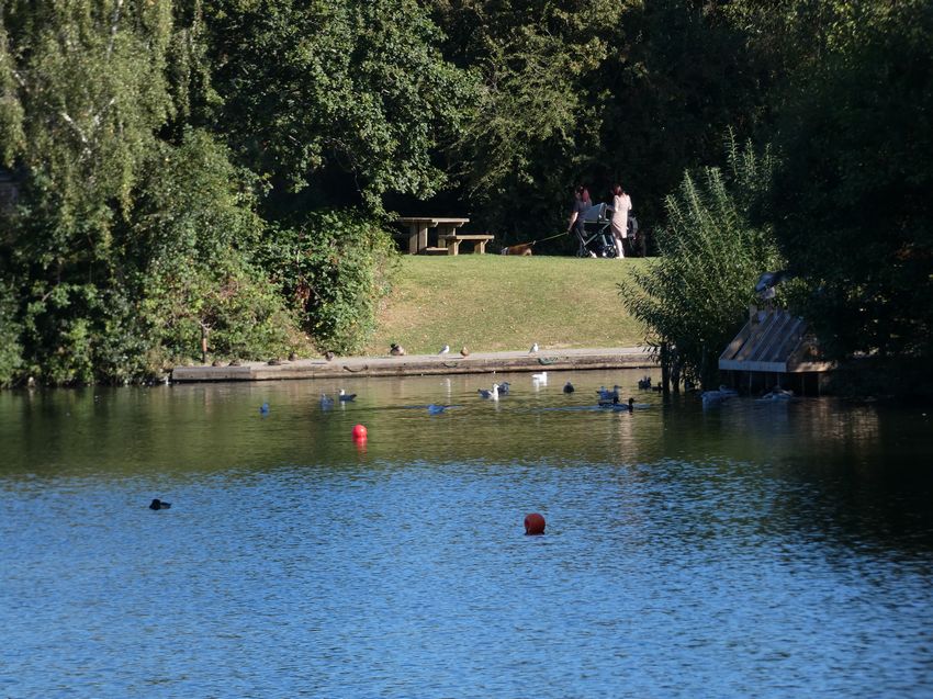 Click to see next picture