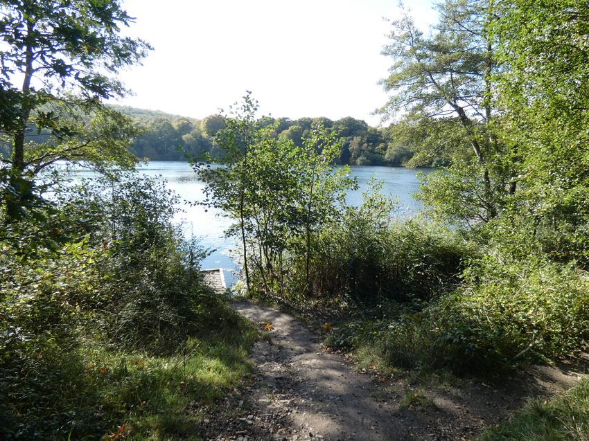 Click to see next picture