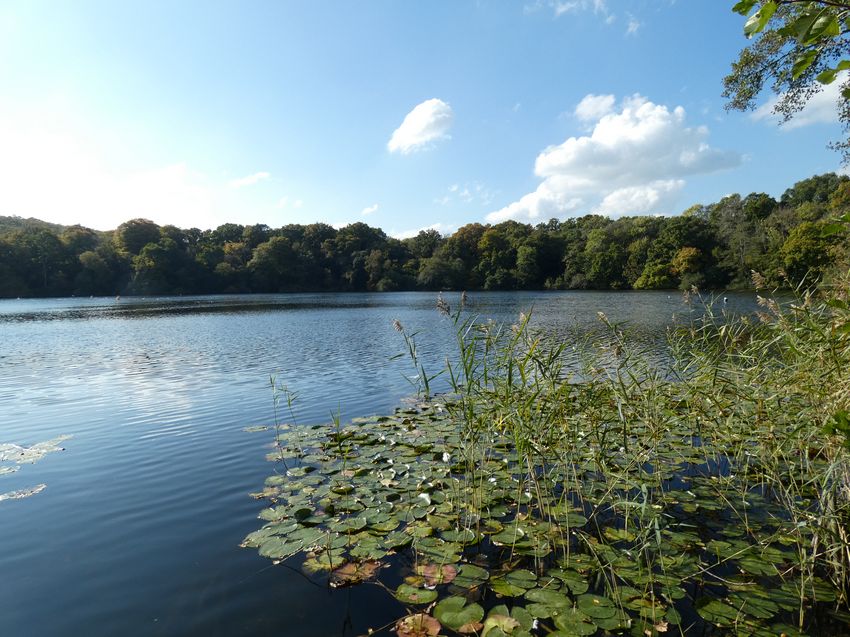 Click to see next picture