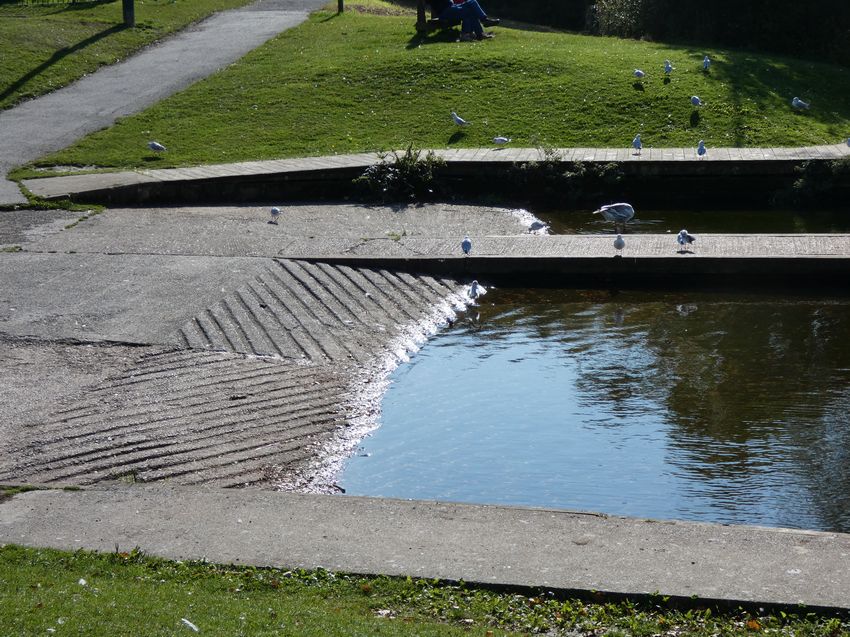 Click to see next picture