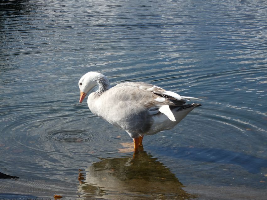 Click to see next picture