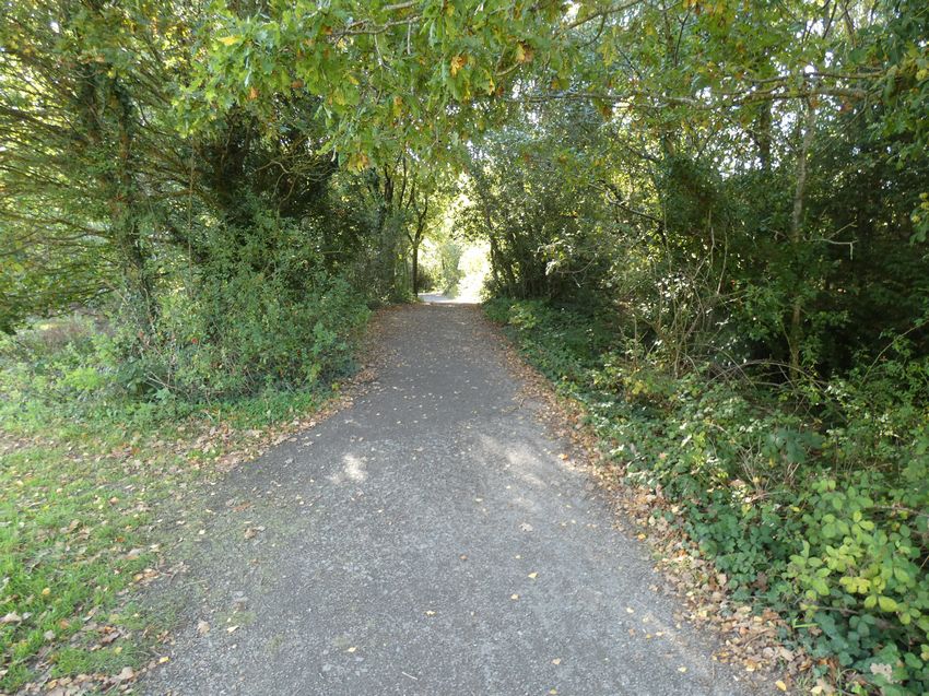 Click to see next picture