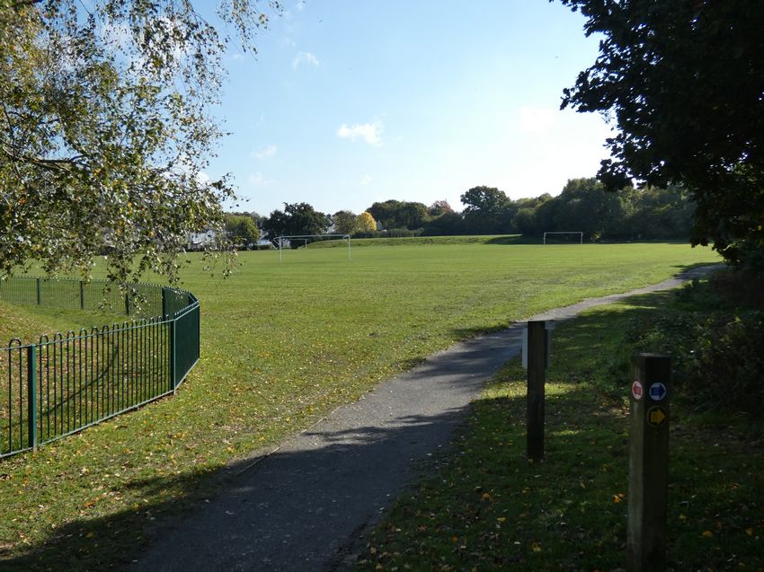 Click to see next picture