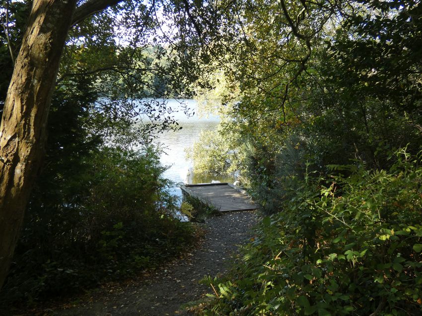 Click to see next picture