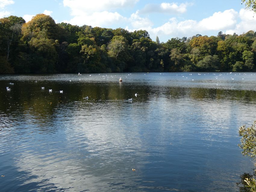 Click to see next picture