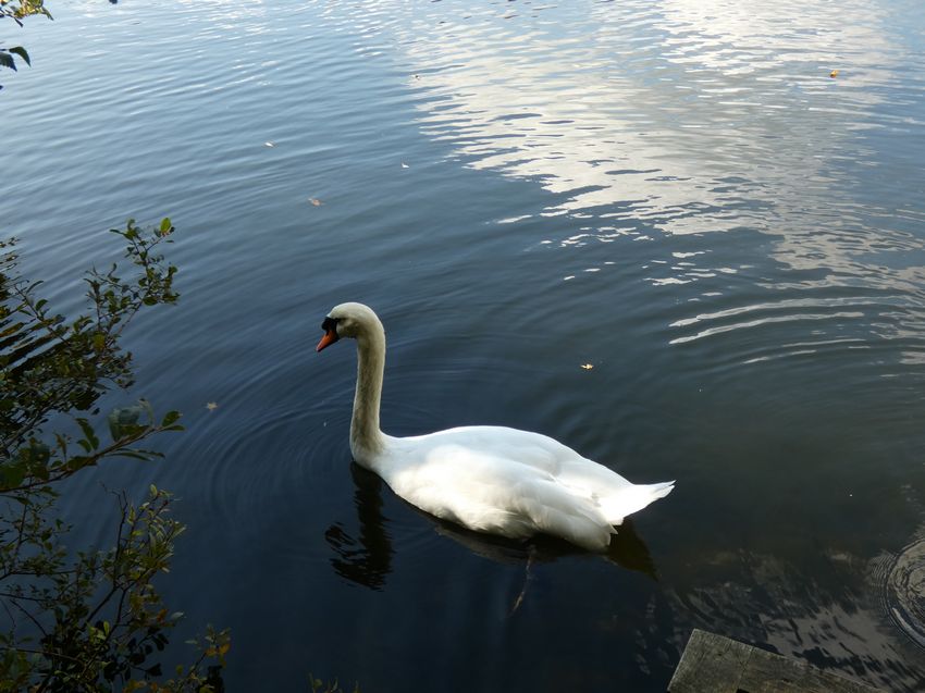 Click to see next picture