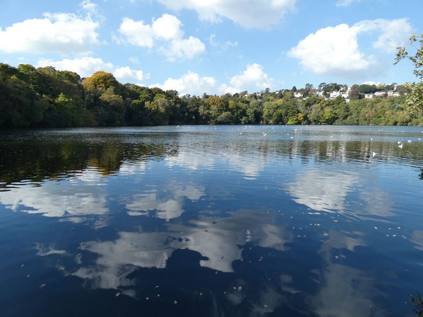 Click to see next picture