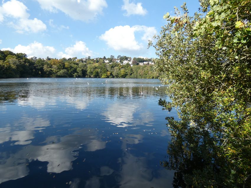 Click to see next picture