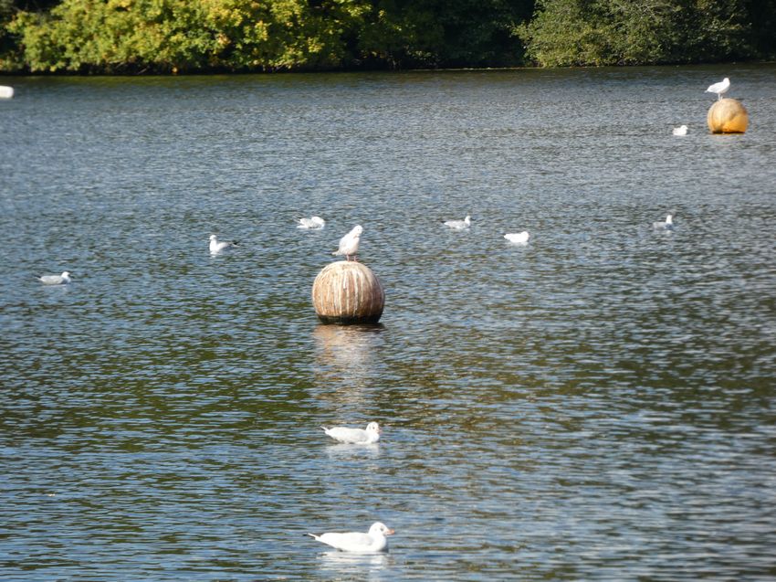 Click to see next picture