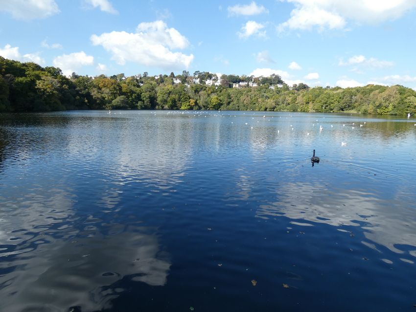 Click to see thumbs page