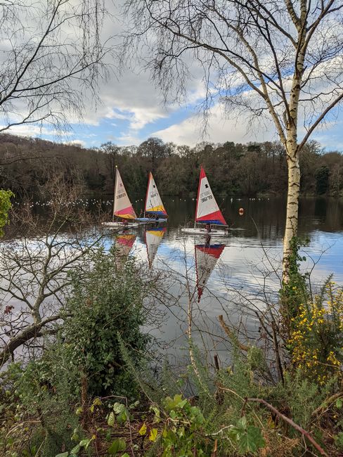 Click to see next picture