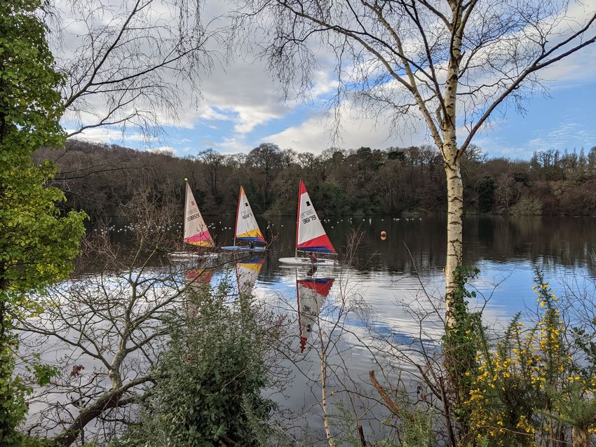 Click to see next picture