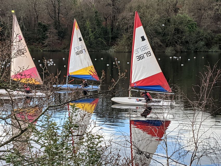 Click to see next picture