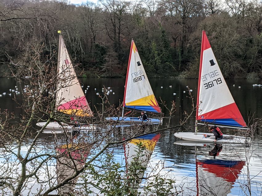 Click to see thumbs page